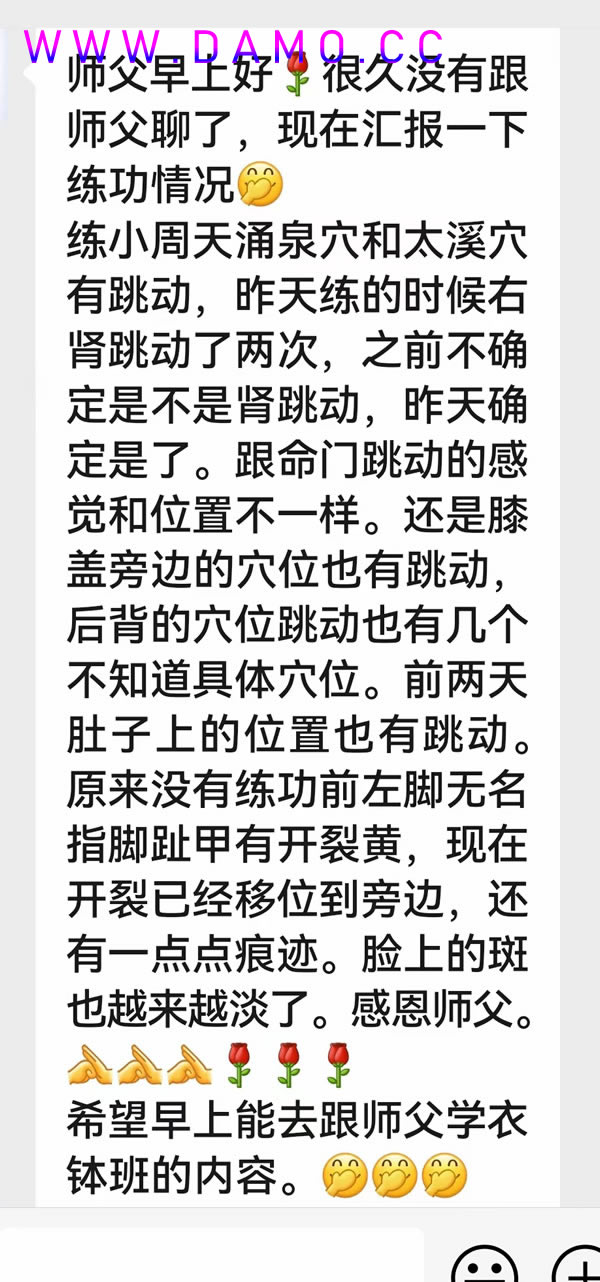 形意拳 易筋经