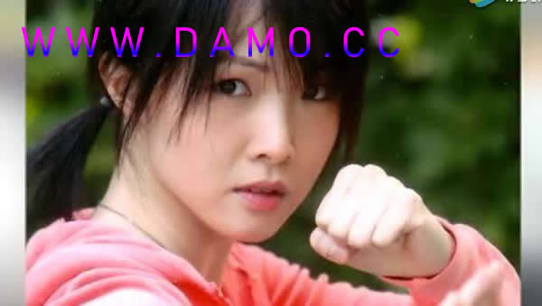 内功心法 内功