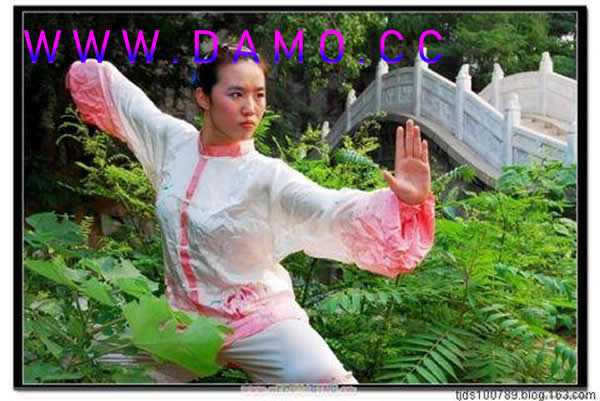 太极拳 易筋经