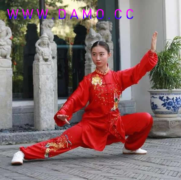 太极拳 易筋经