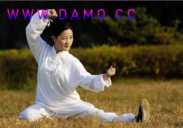 太极拳 易筋经