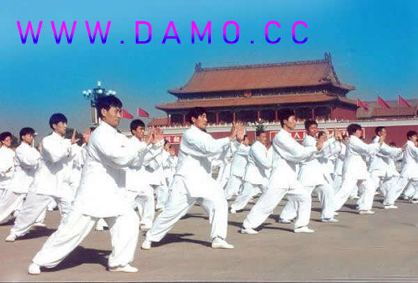 太极拳 易筋经