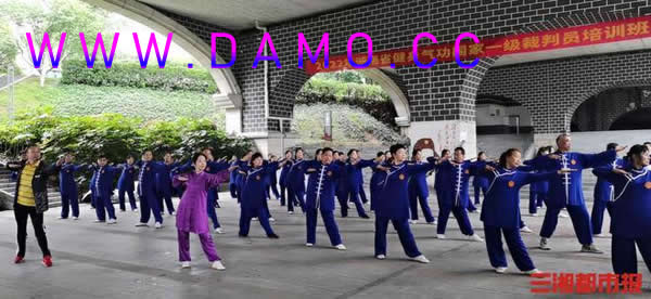 太极拳 易筋经
