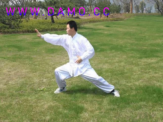 太极拳 易筋经