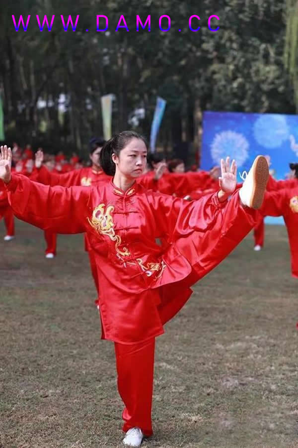 太极拳 易筋经