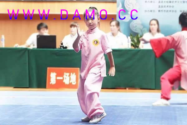 太极拳 易筋经
