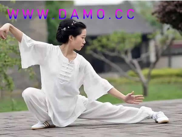 太极拳 易筋经
