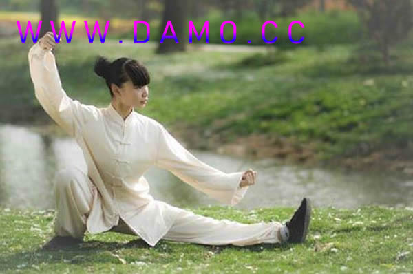 太极拳 易筋经
