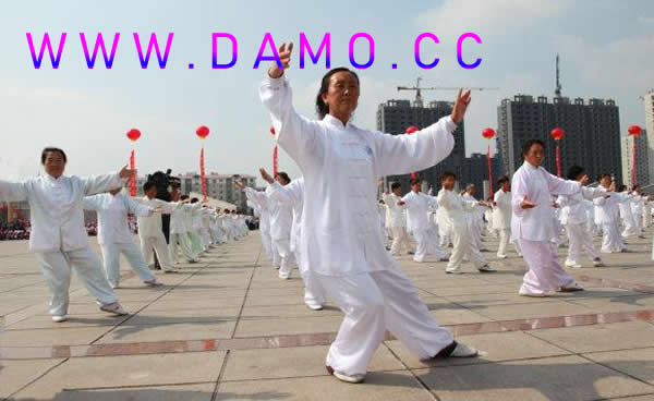 太极拳 易筋经