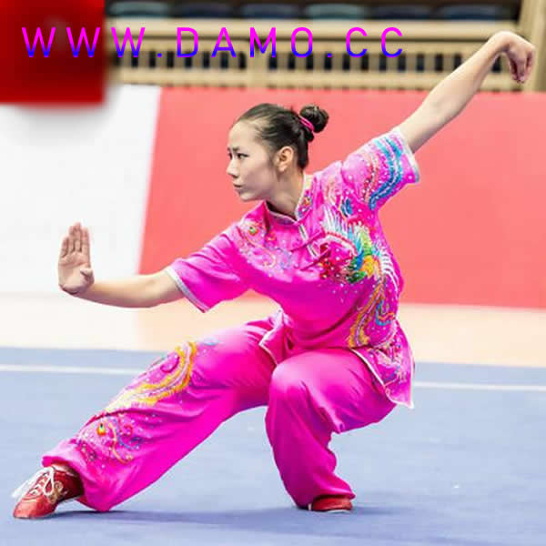 太极拳 易筋经