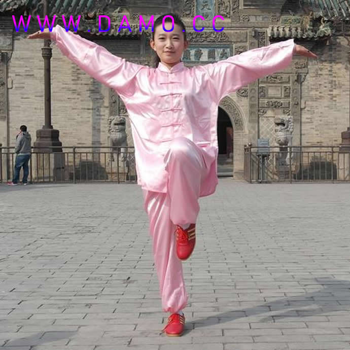 太极拳 易筋经