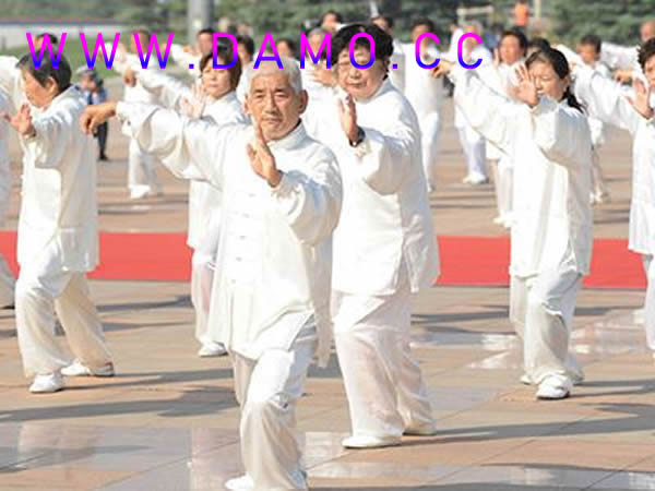 太极拳 易筋经
