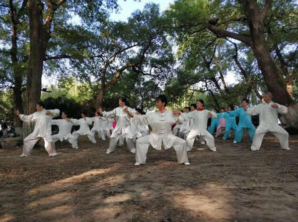太极拳 易筋经