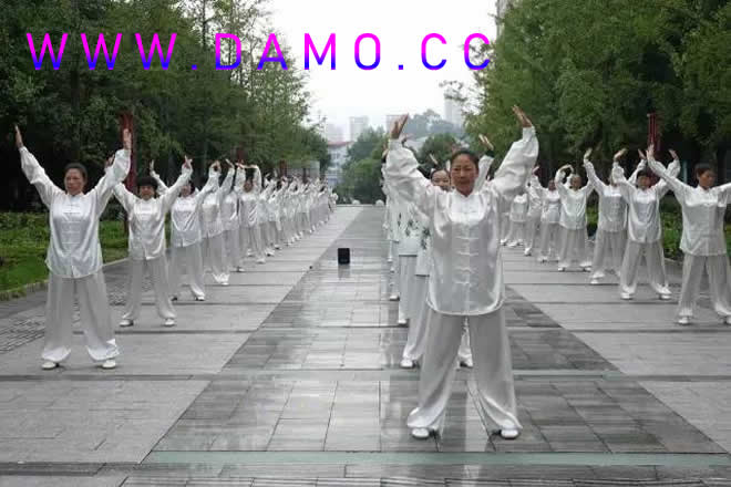 太极拳 易筋经