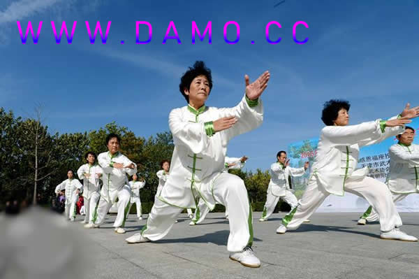 太极拳 易筋经