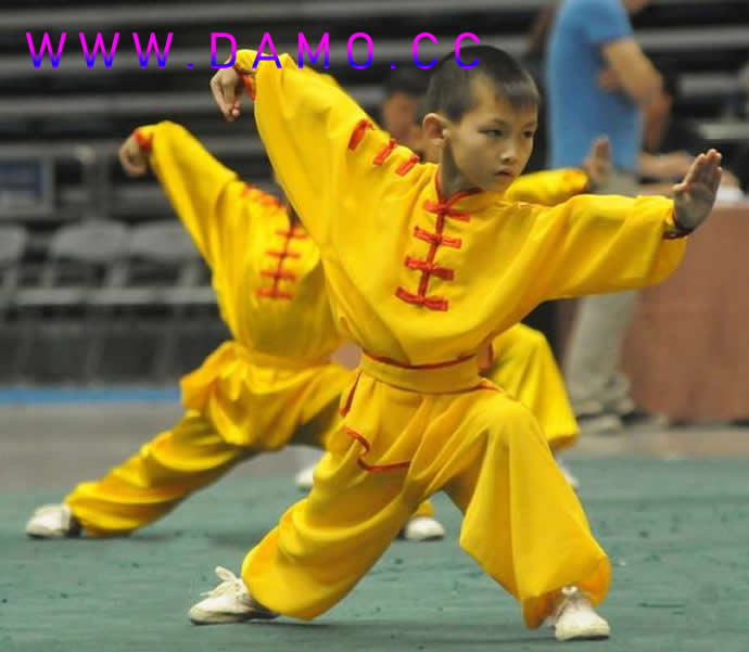 太极拳 易筋经