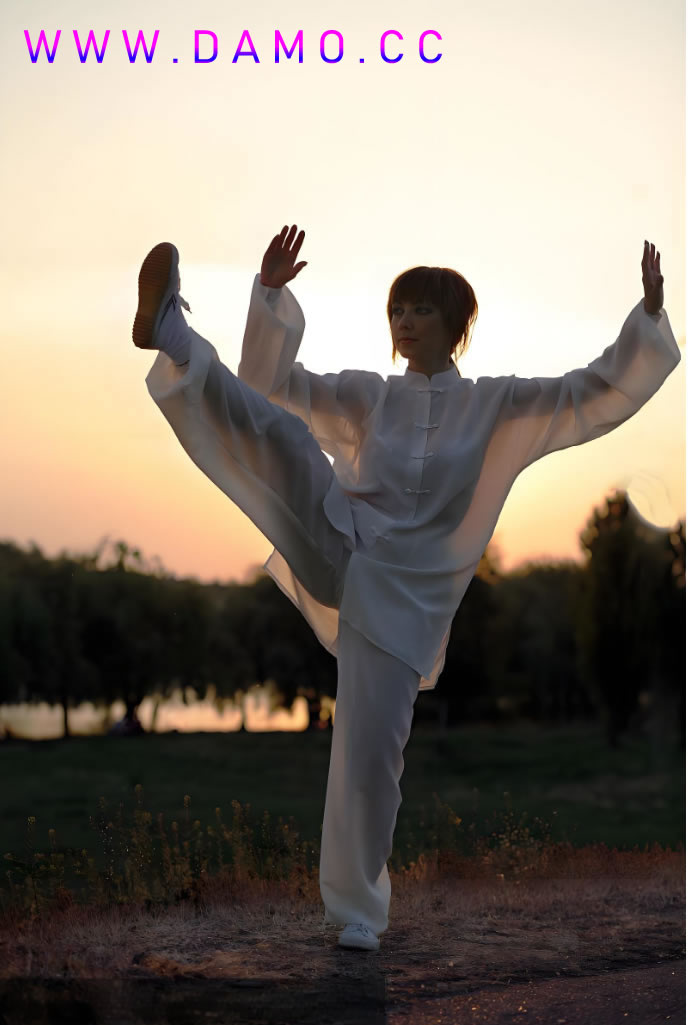 太极拳 易筋经