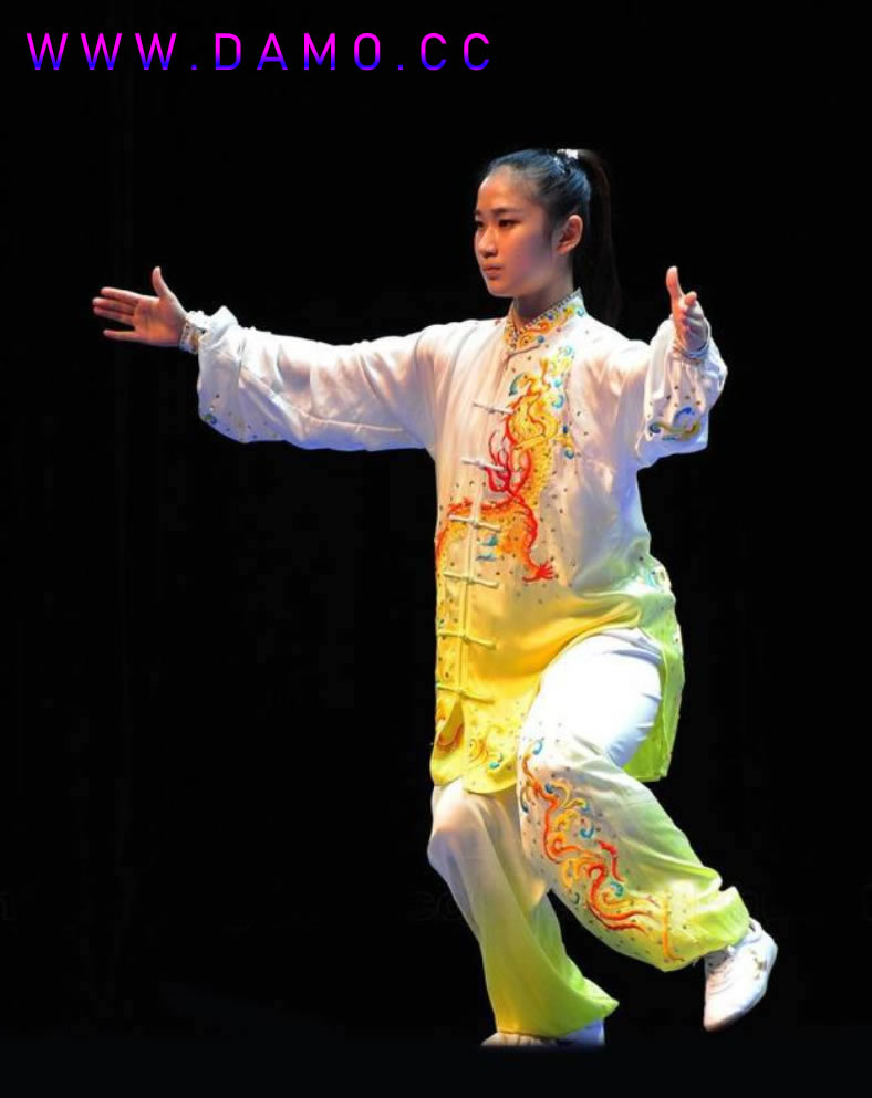 太极拳 易筋经
