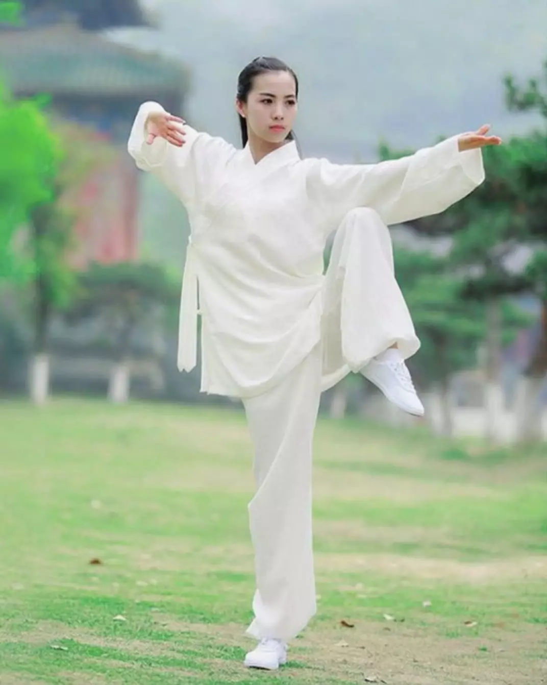 太极拳 易筋经