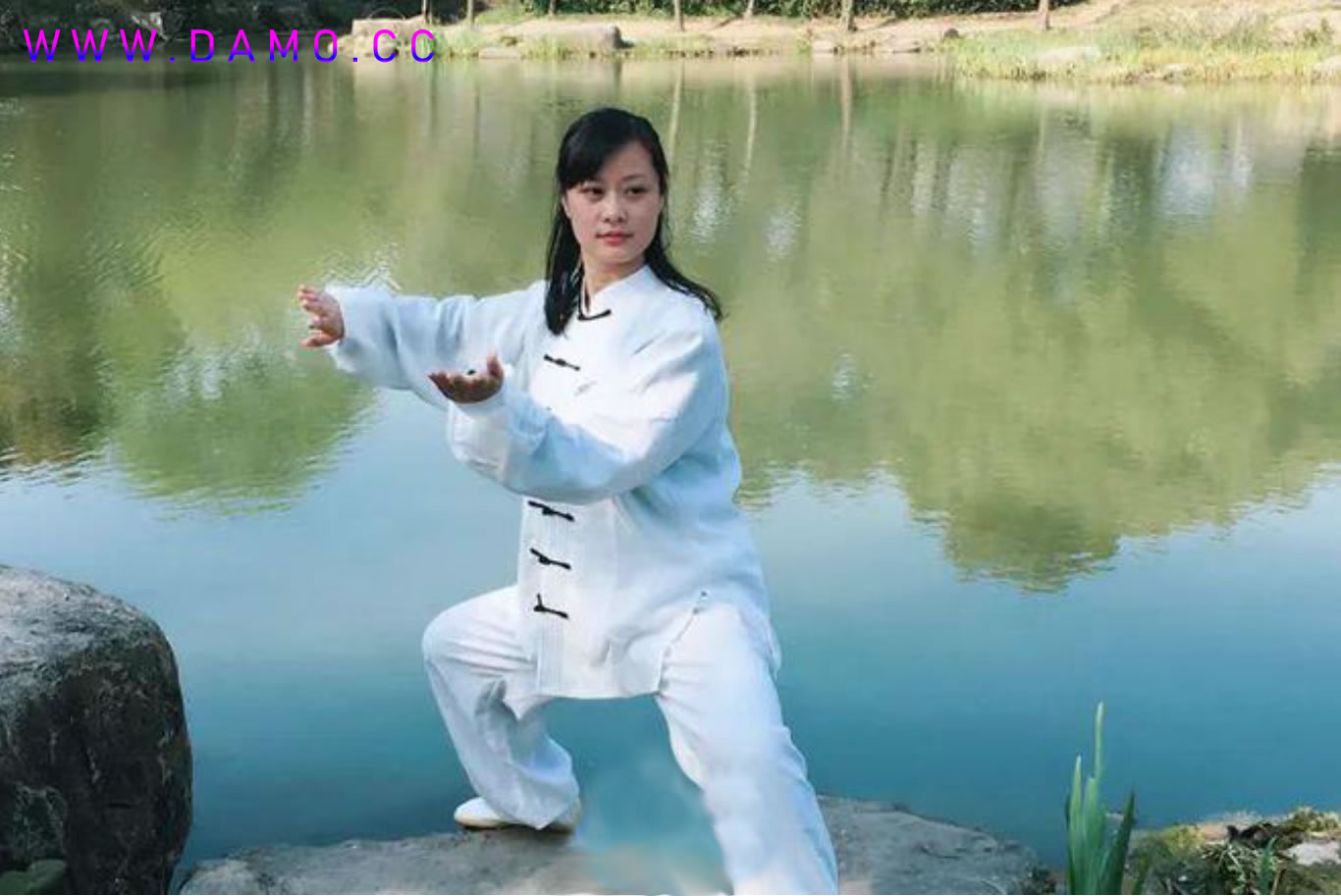 太极拳 易筋经