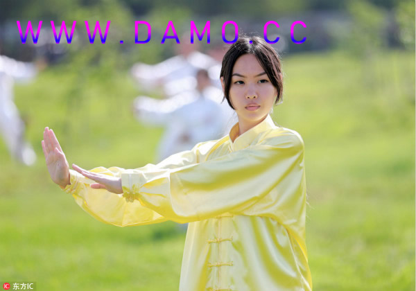 太极拳 易筋经