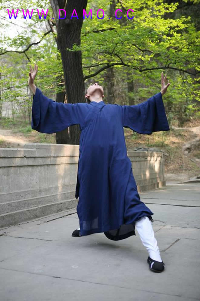 胎息 胎息经