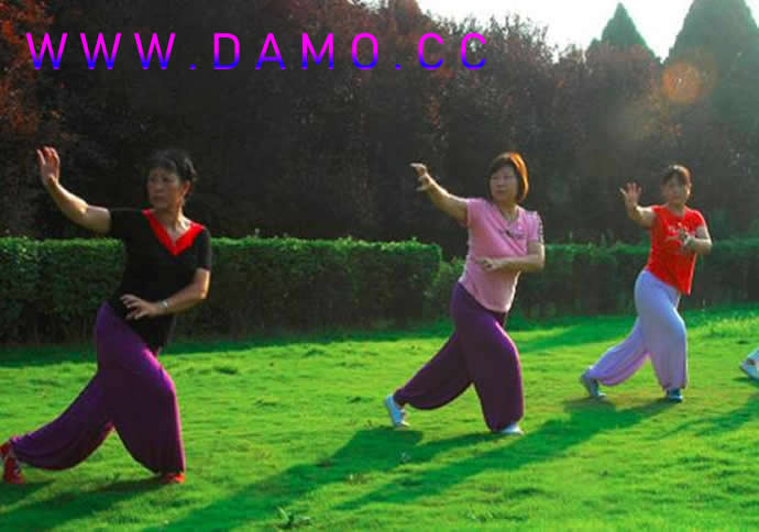 胎息 胎息经