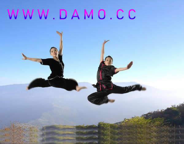 武校 武术