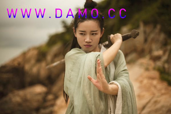 武校 武术