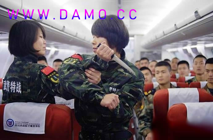 武校 武术