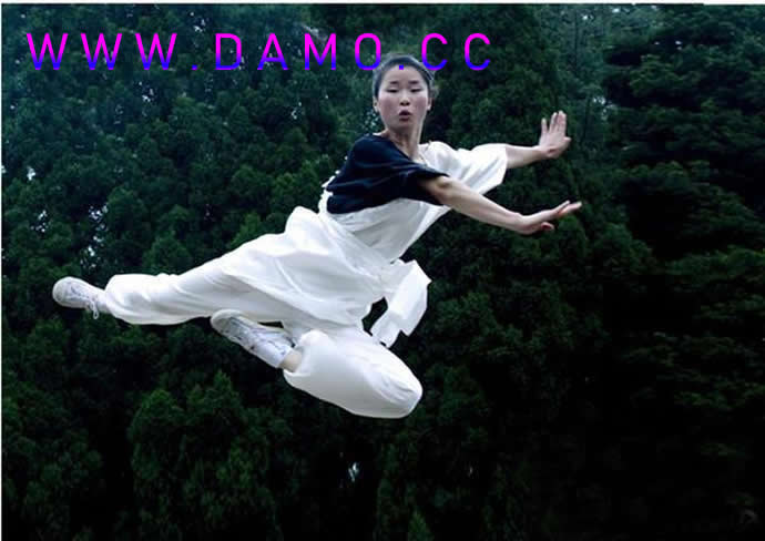 武校 武术