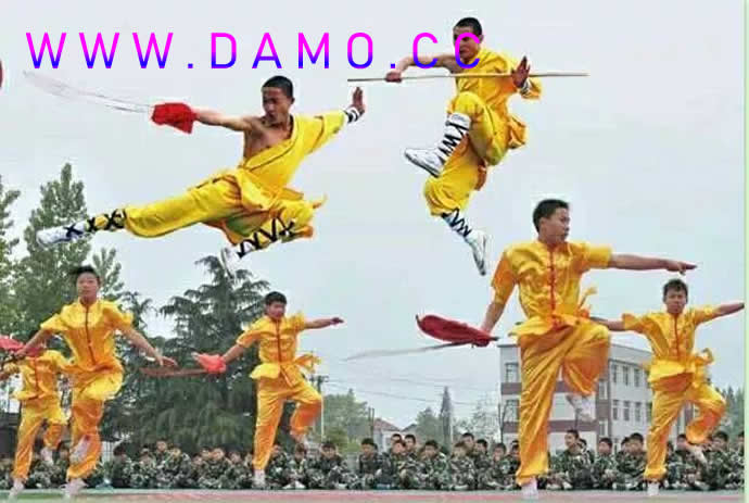 武校 武术