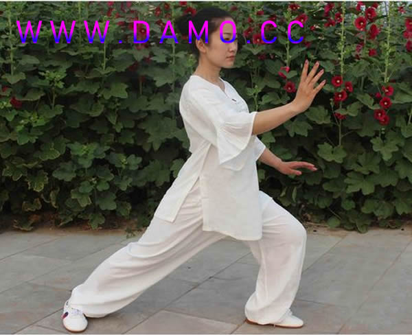 形意拳 易筋经