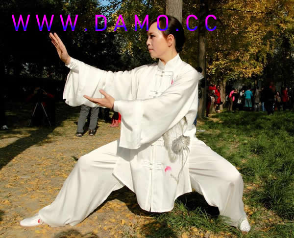形意拳 易筋经