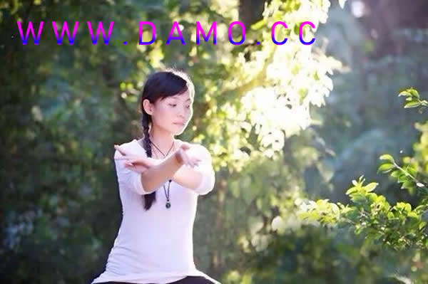 形意拳 易筋经