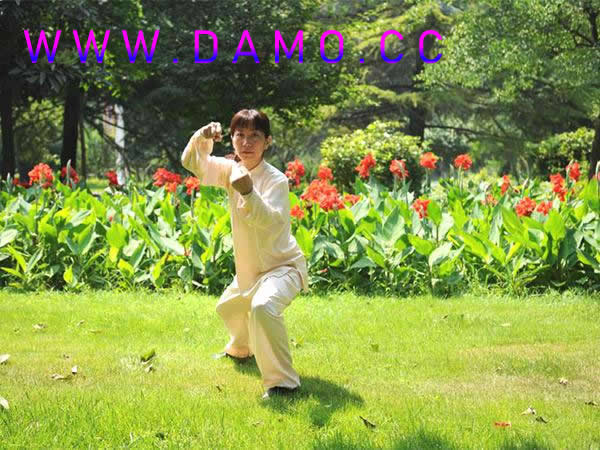 形意拳 易筋经