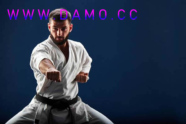形意拳 易筋经