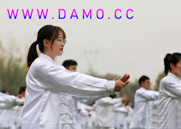 心意把 易筋经