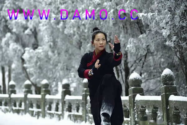 心意把 易筋经