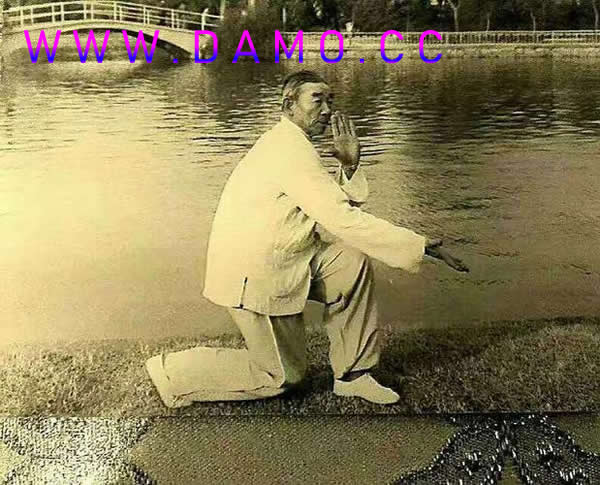 �׽