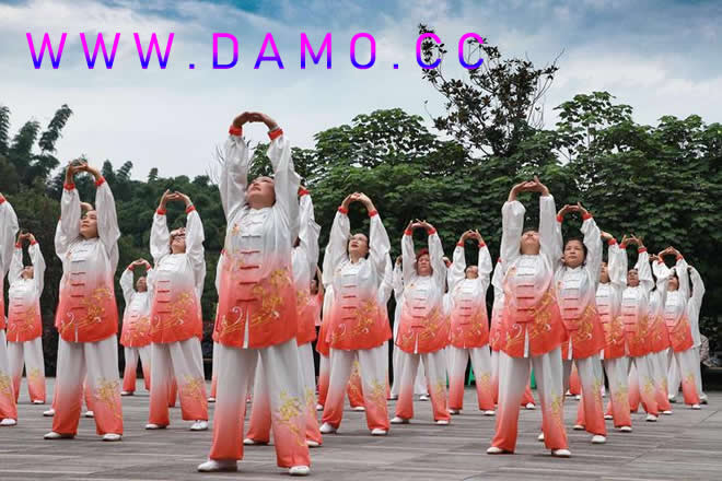 洗髓经 易筋经