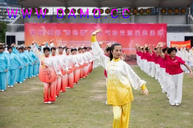 洗髓经 易筋经