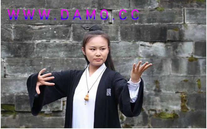 洗髓经 易筋经