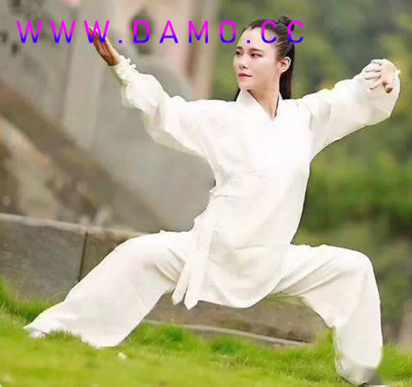 洗髓经 易筋经