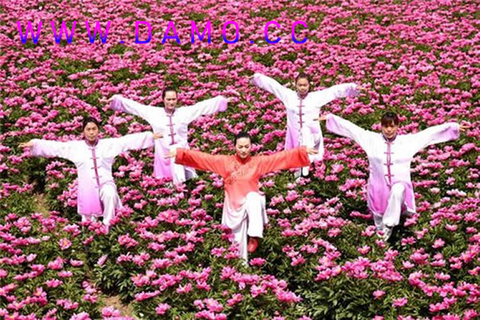 洗髓经 易筋经