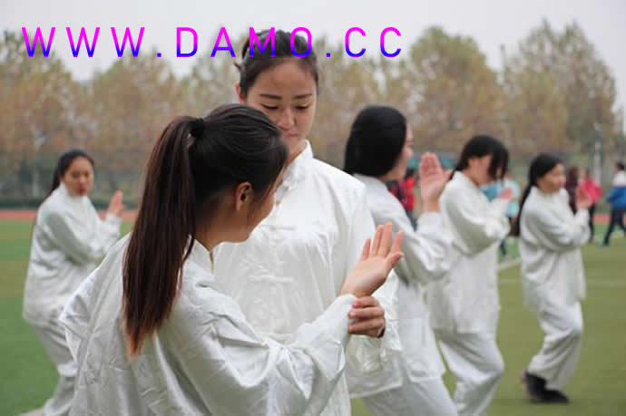 洗髓经 易筋经