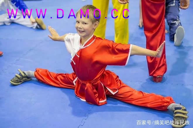 洗髓经 易筋经