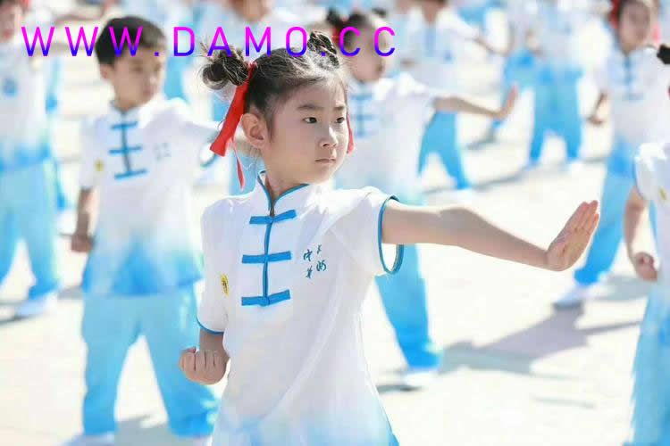洗髓经 易筋经