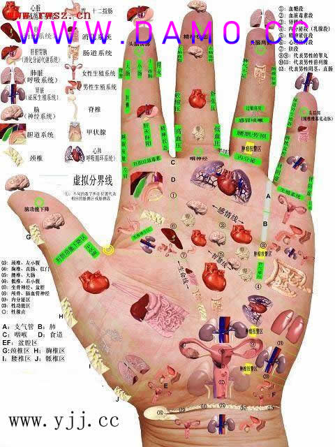 养生课 养生