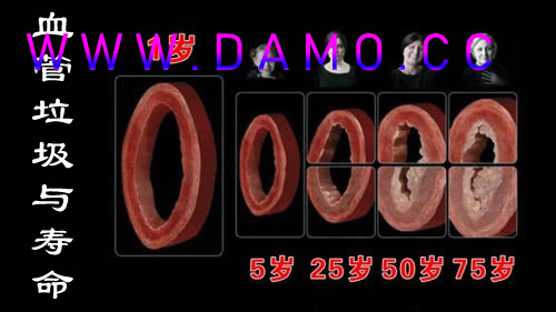 养生课 养生